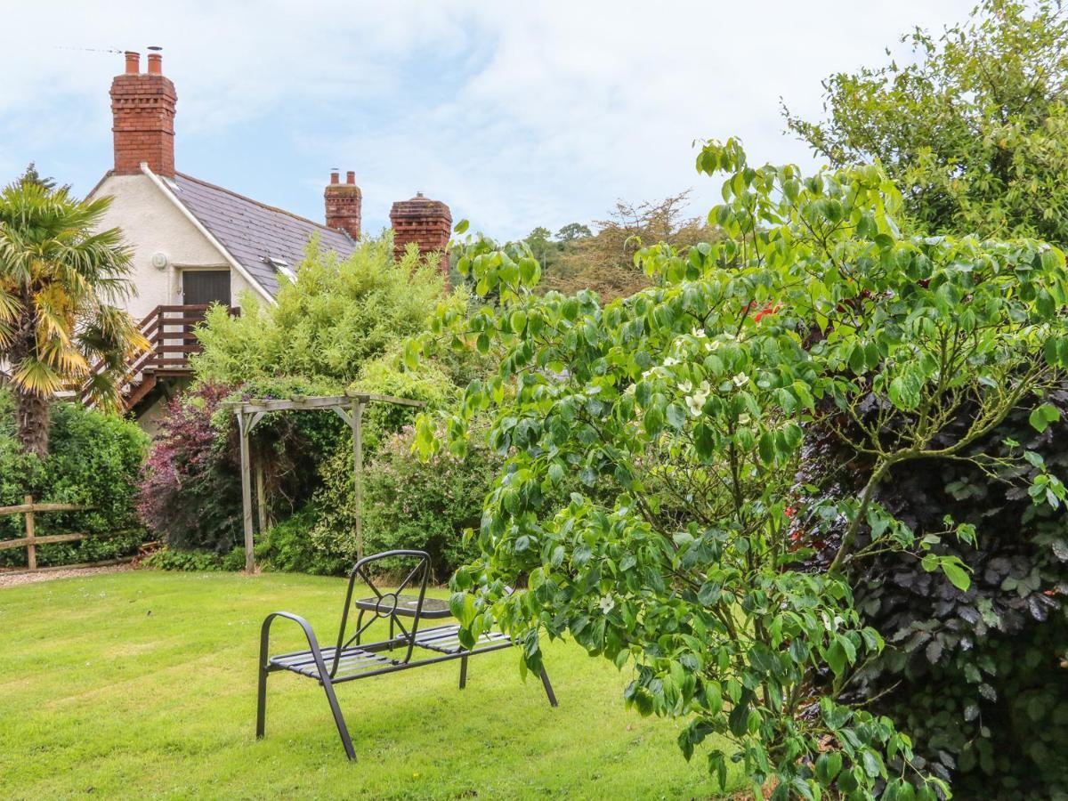 Fig Trees - Wibble Farm Apartman Williton Kültér fotó